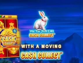 online bets